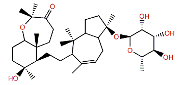 Sipholenoside B
